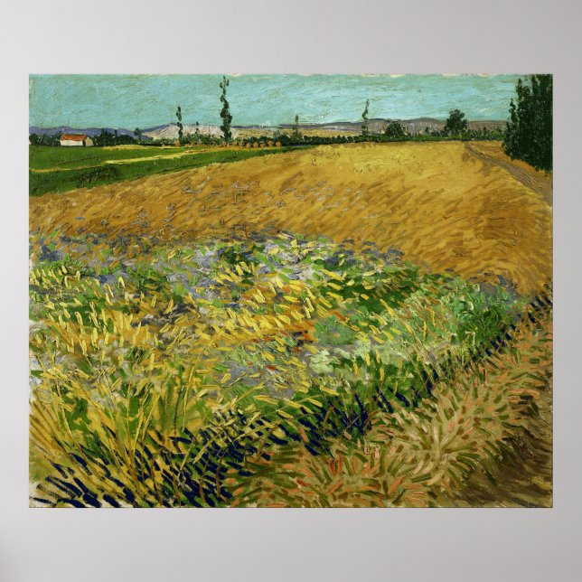 Poster Vincent Van Gogh Vintage Wheatfield (Devant)