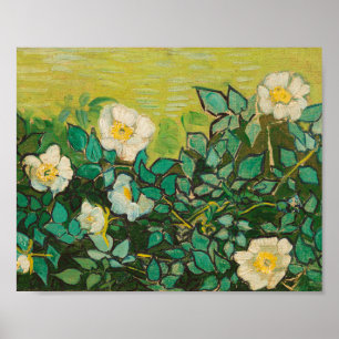 Poster Vincent Van Gogh Wild Art Rose