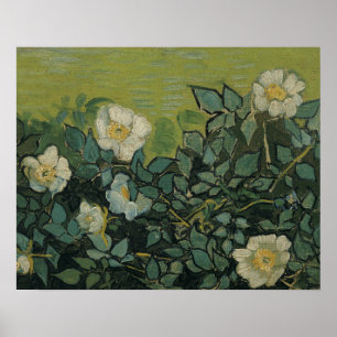 Poster Vincent van Gogh - Wild Roses