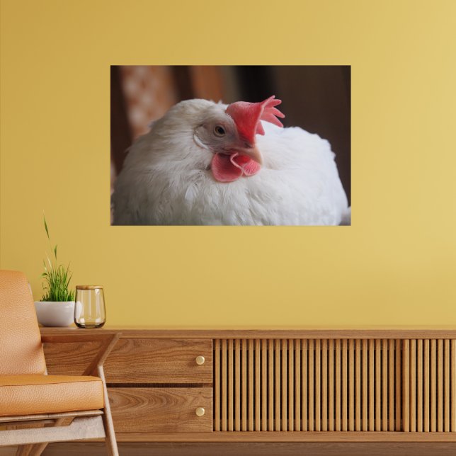 Poster Vinnie (Salon 2)