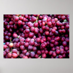 Poster Vins rouges
