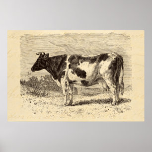Poster Vintage 1800s Grande vache hollandaise Vaches rétr