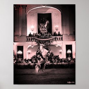 Poster Vintage Autriche Vienne Courbette Espagnole