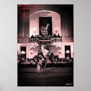 Poster Vintage Autriche Vienne Courbette espagnole