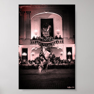 Poster Vintage Autriche Vienne Courbette Espagnole
