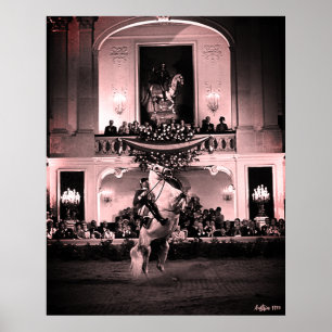 Poster Vintage Autriche Vienne Courbette Espagnole