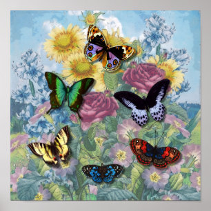 Poster vintage "Belles papillons"