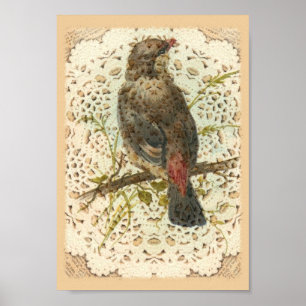 Poster Vintage Bird and Doilie
