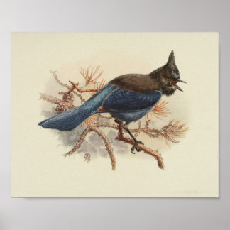 Poster Vintage Bird Blue Black Print