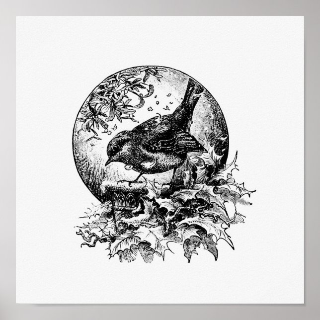 Poster Vintage Bird Illustration (Devant)