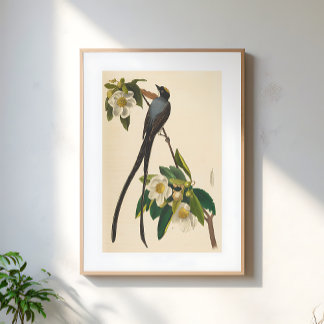 Poster Vintage Bird Swallow-tailed floral illustration