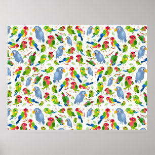 Poster Vintage Birds Pattern, Colorful parakeet pattern