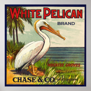 POSTER VINTAGE BLANC PELICAN FRUIT EMBALLAGE CRATE ÉTIQUE