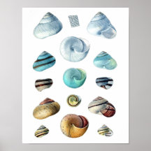 Poster vintage bleu Seashs