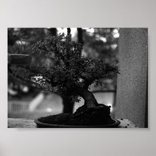 Poster Vintage Chine Guilin bonsai miniature bonsai Pot
