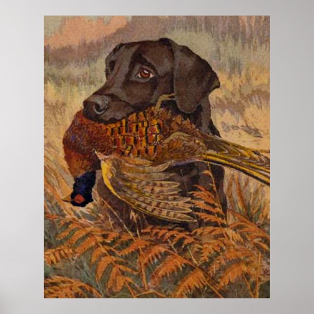 Poster Vintage Chocolate Lab Hunting (Devant)