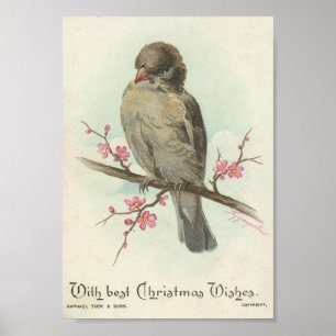 Poster Vintage Christmas Sparrow