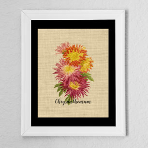 Poster Vintage Chrysanthemum Botanique