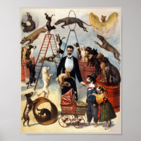 Poster vintage Circus Pups