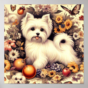 Poster Vintage Cute Maltais