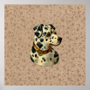 Poster Vintage Dalmation Dog Print