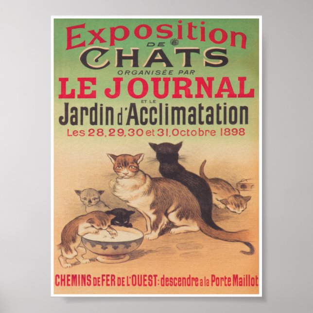 Poster vintage d'annonce d'exposition de chats (Devant)