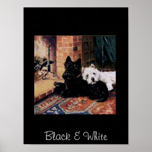 Poster vintage de chiens noirs et blancs