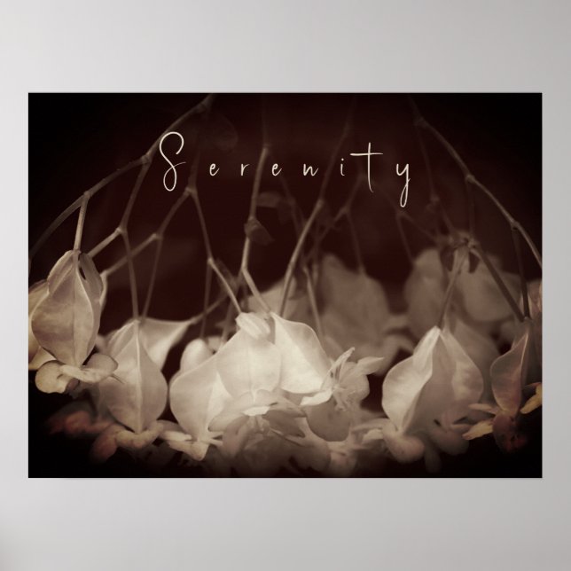 Poster vintage de fleurs blanches (Devant)