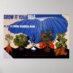 Poster vintage de jardin végétal