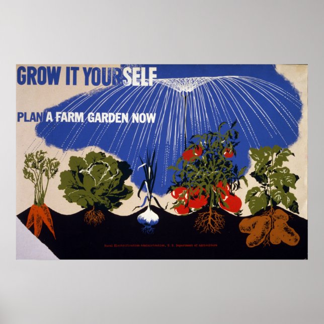 Poster vintage de jardin végétal (Devant)