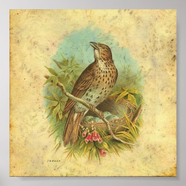 Poster Vintage de poussée (Devant)