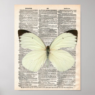 Poster Vintage dictionary page and white butterfly