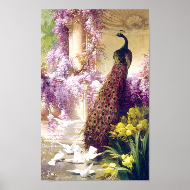 Poster vintage d'images Peacock (Devant)