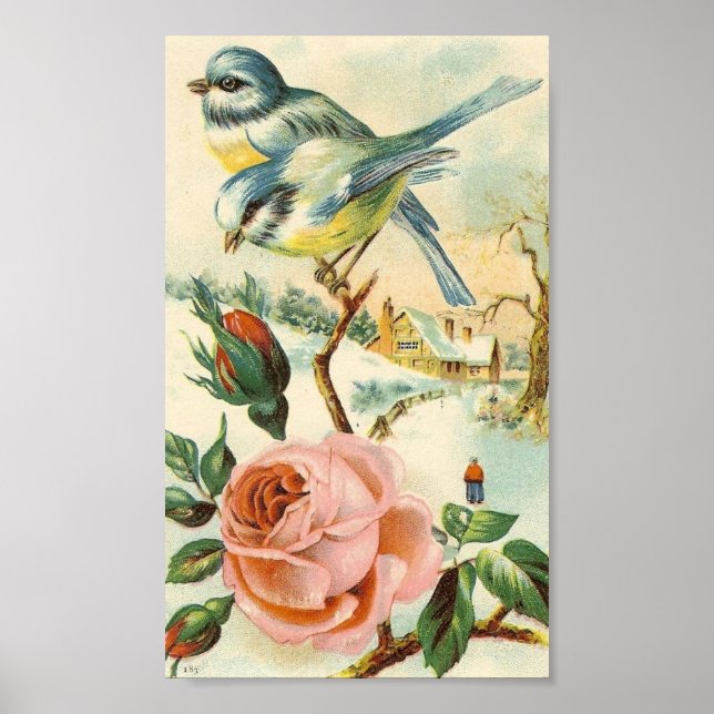 Poster vintage d'oiseaux (Devant)