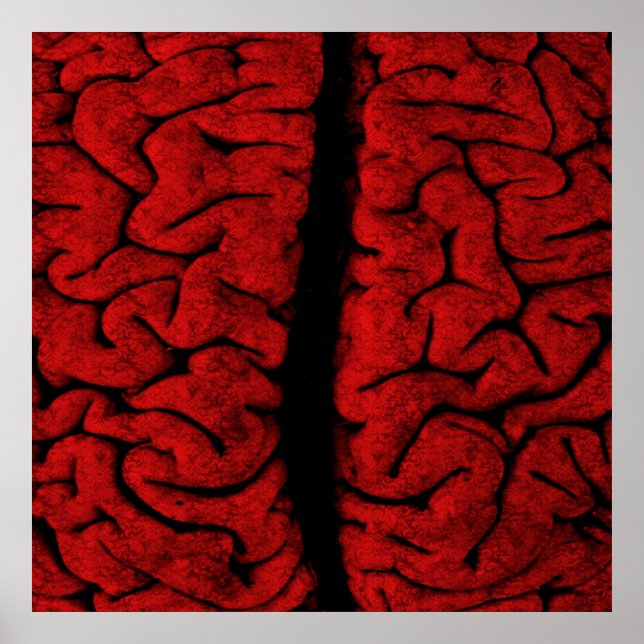 Poster vintage du cerveau (Devant)