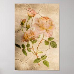 Poster Vintage Élégant Shabby Chic rose pâle Roses