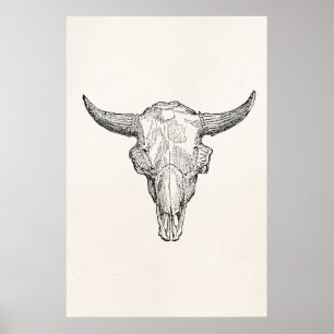 Poster Vintage European Bison Skull Antique Template