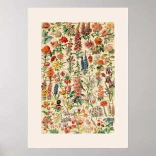 Poster Vintage Flowers
