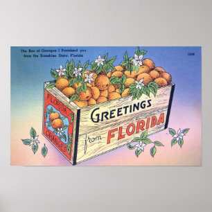 Poster Vintage Greetings from Florida Oranges Travel