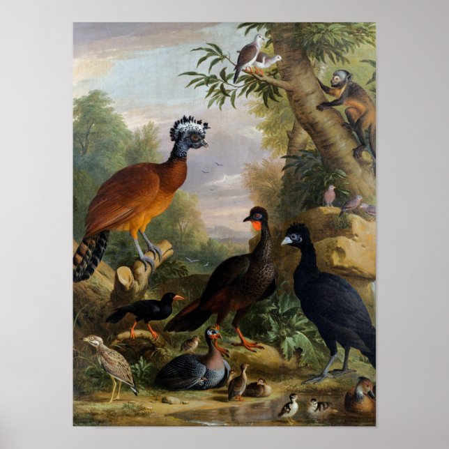 Poster Vintage Jakob Bogdani Birds dans un paysage (Devant)