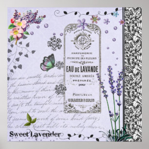 Poster vintage Lavender Collector