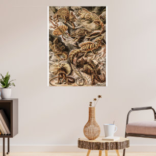 Poster Vintage Lizard Animals by Ernst Haeckel 