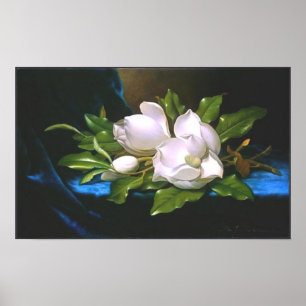 Poster Vintage Magnolia (vers 1890) Imprimer