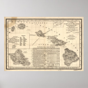 Poster Vintage Map of Hawaii (1893)