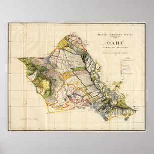 Poster Vintage Map of Oahu Hawaii
