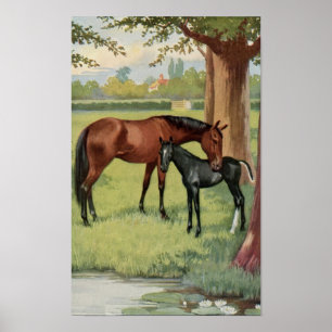 Poster Vintage Mare Colt Filly Horse Image équestre
