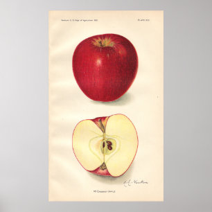 Poster vintage McCroskey Apple