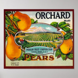 Poster vintage Orchard Pears