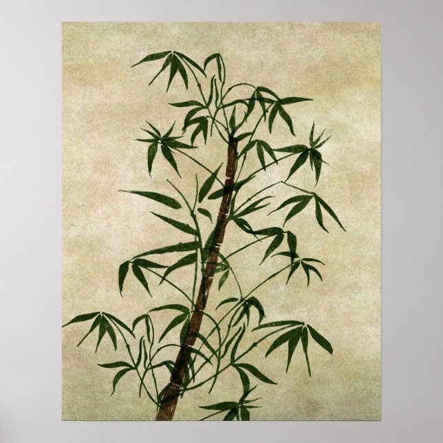 Poster Vintage Oriental Bamboo 1 (Devant)