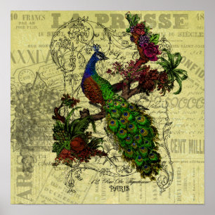 Poster Vintage Peacock on Branch Apparel and Gifts